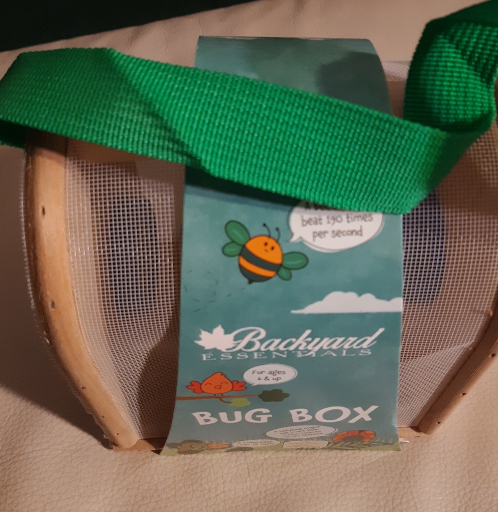 Bug Box with Green Strap